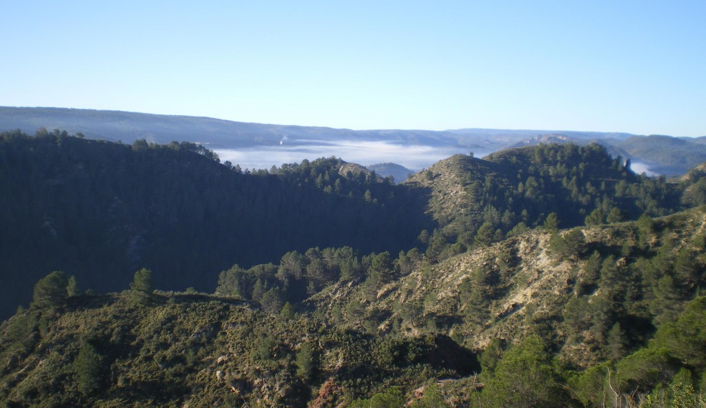 IMGP1269-baja